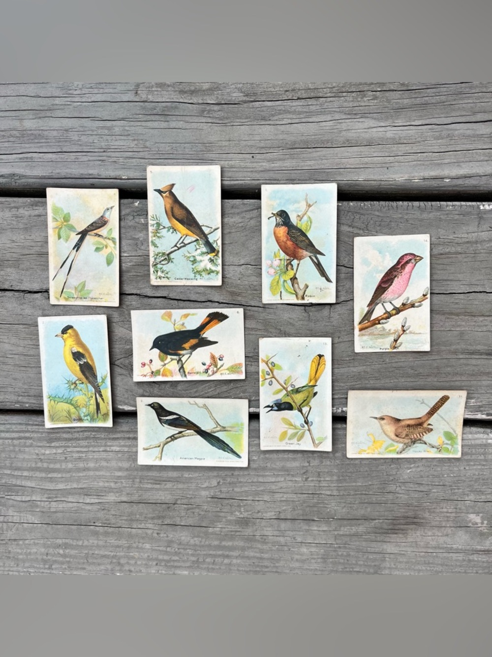Vtg Collectible Bird Cards Arm & Hammer Useful Birds of America Trading Cards